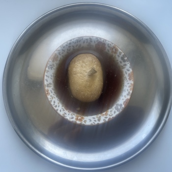 Thumb dhanvantari das   ananga manjari dd  belaya tserkov 2023 08 06