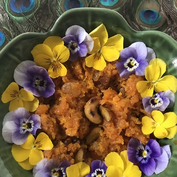 Thumb 2c536110 4913 4bce bc60 144e2576c584